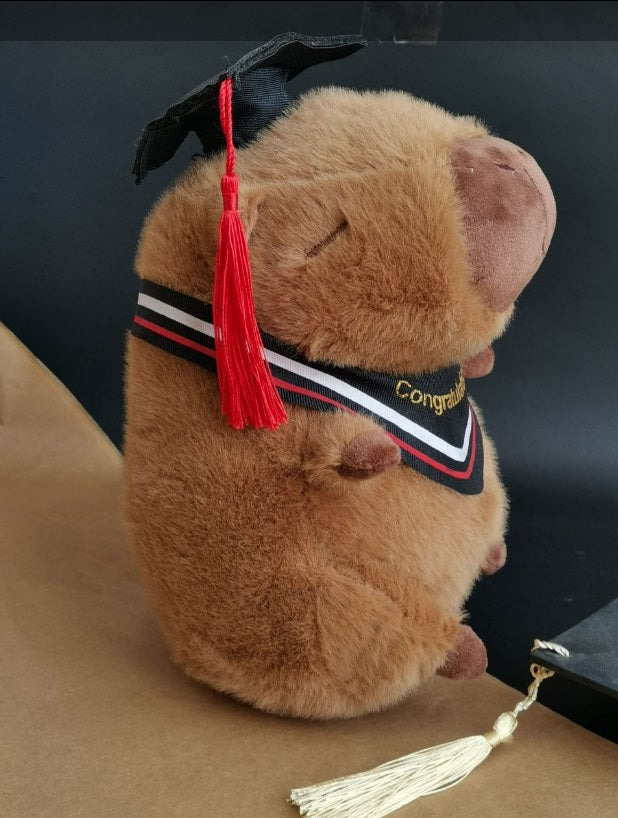 Cute Doll Graduation Gift / دبدوب هدية تخرج