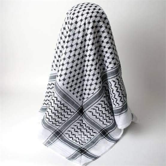 Palestine scarf / شال فلسطين