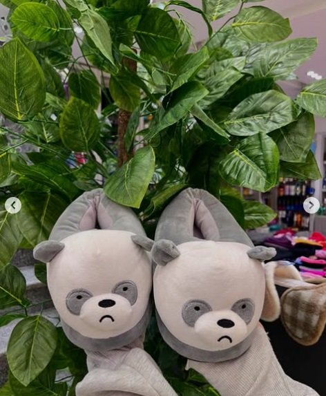 Panda Footwear / لكلوك باندا
