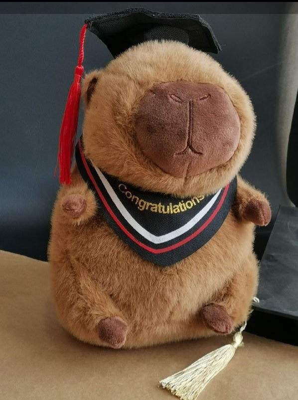 Cute Doll Graduation Gift / دبدوب هدية تخرج