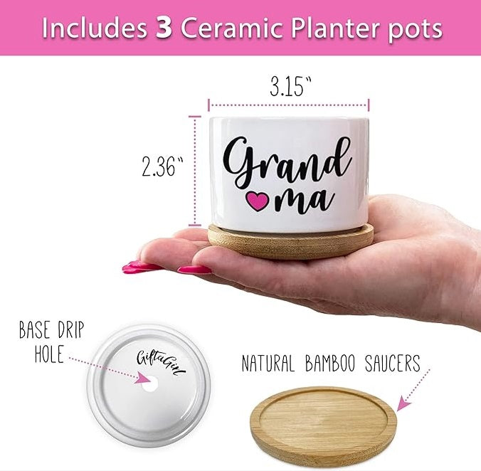 Pot Plants Or Candle Holder / بوت للزرع أو حامل للشمع